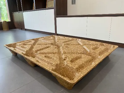 Pallet gỗ nén 1 mặt